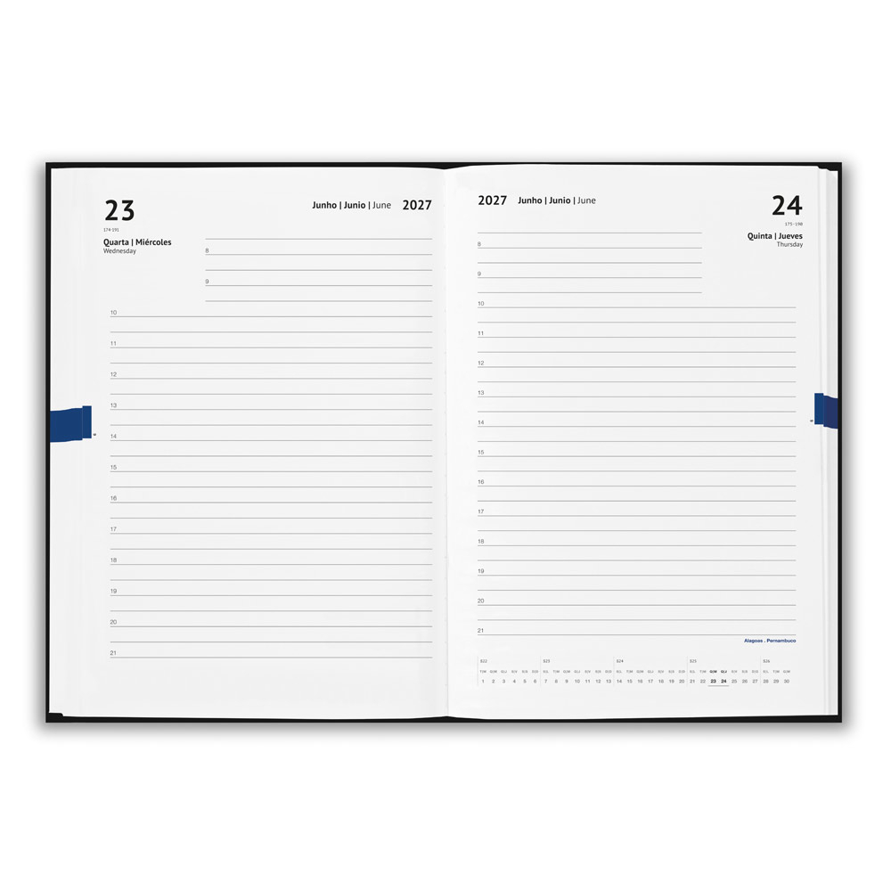 Agenda 2027 personalizada Allende